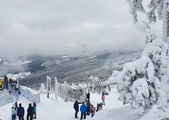 Czarna Gora 102 * Sienna (Klodzko)